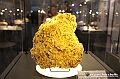 VBS_1080 - Riapre il Museo di Scienze Naturali dopo dieci anni di chiusura